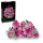 LEGO BOTANICALS 10374 Bukiet różowych róż - 1473598 - zdjęcie 2
